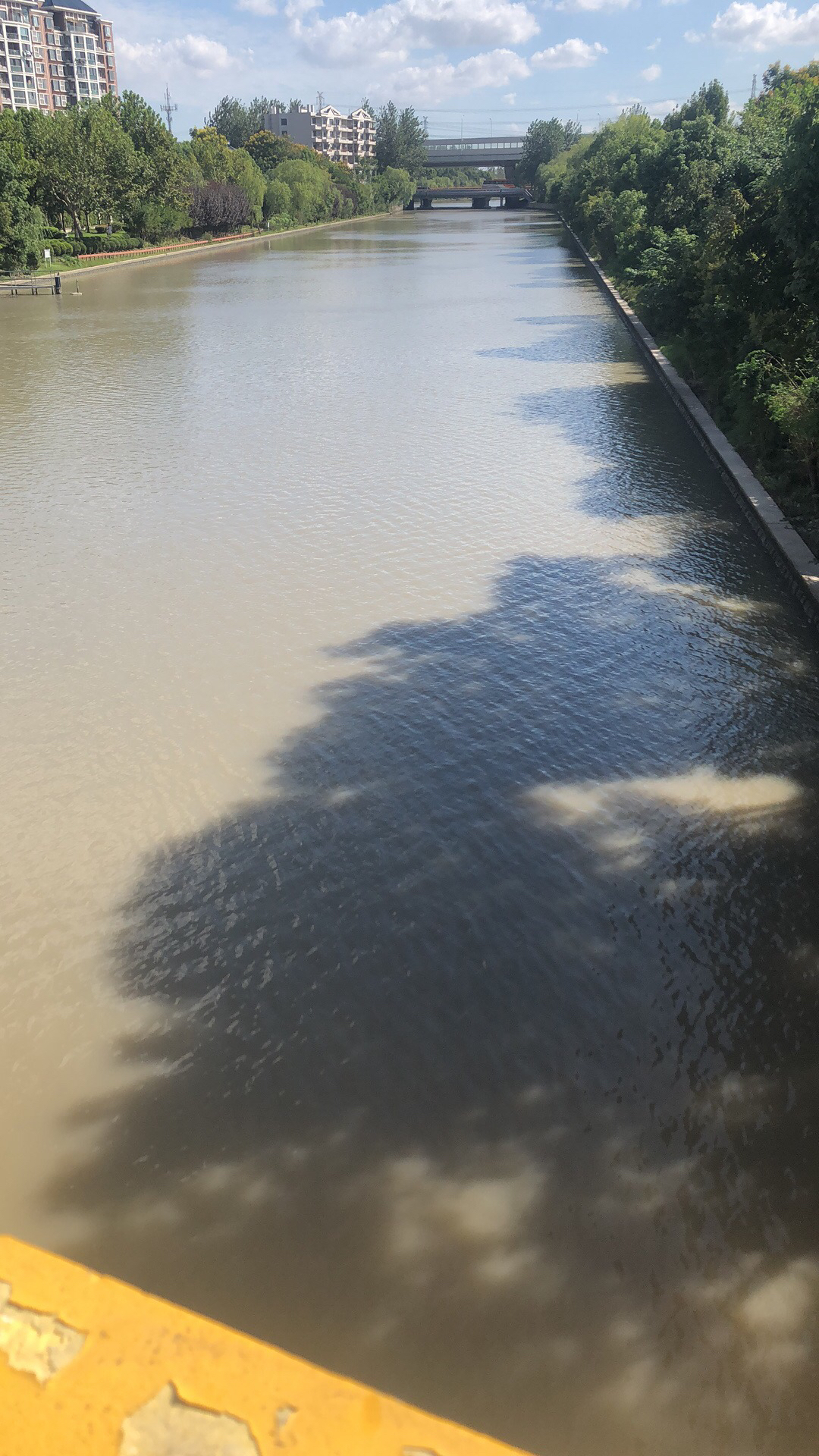 域鑒廊坊中儲古玩城的店鋪